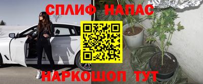 мдпв Лесосибирск
